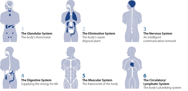 Chiropractic Tempe AZ Zone Technique